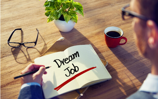 5 Strategies To Get Your Dream Job